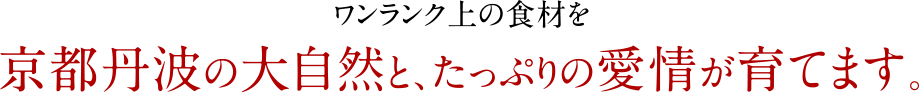 ワンランク上の食材を、京都丹波の大自然と、たっぷりの愛情が育てます